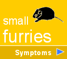 SMALLFURRY