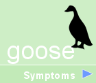 GOOSE